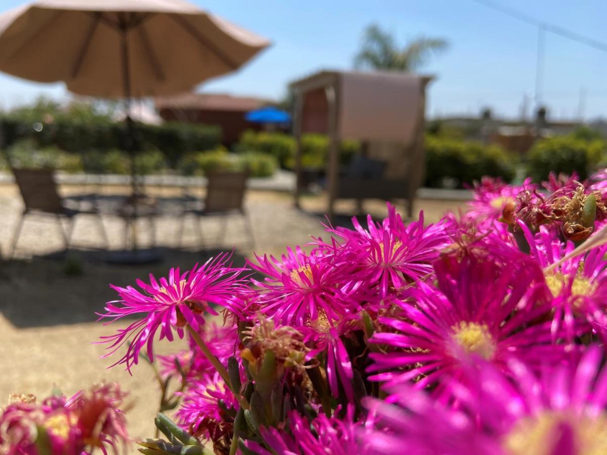 Villarreal Lodge Hotel Ecologico Totolapan Eksteriør bilde