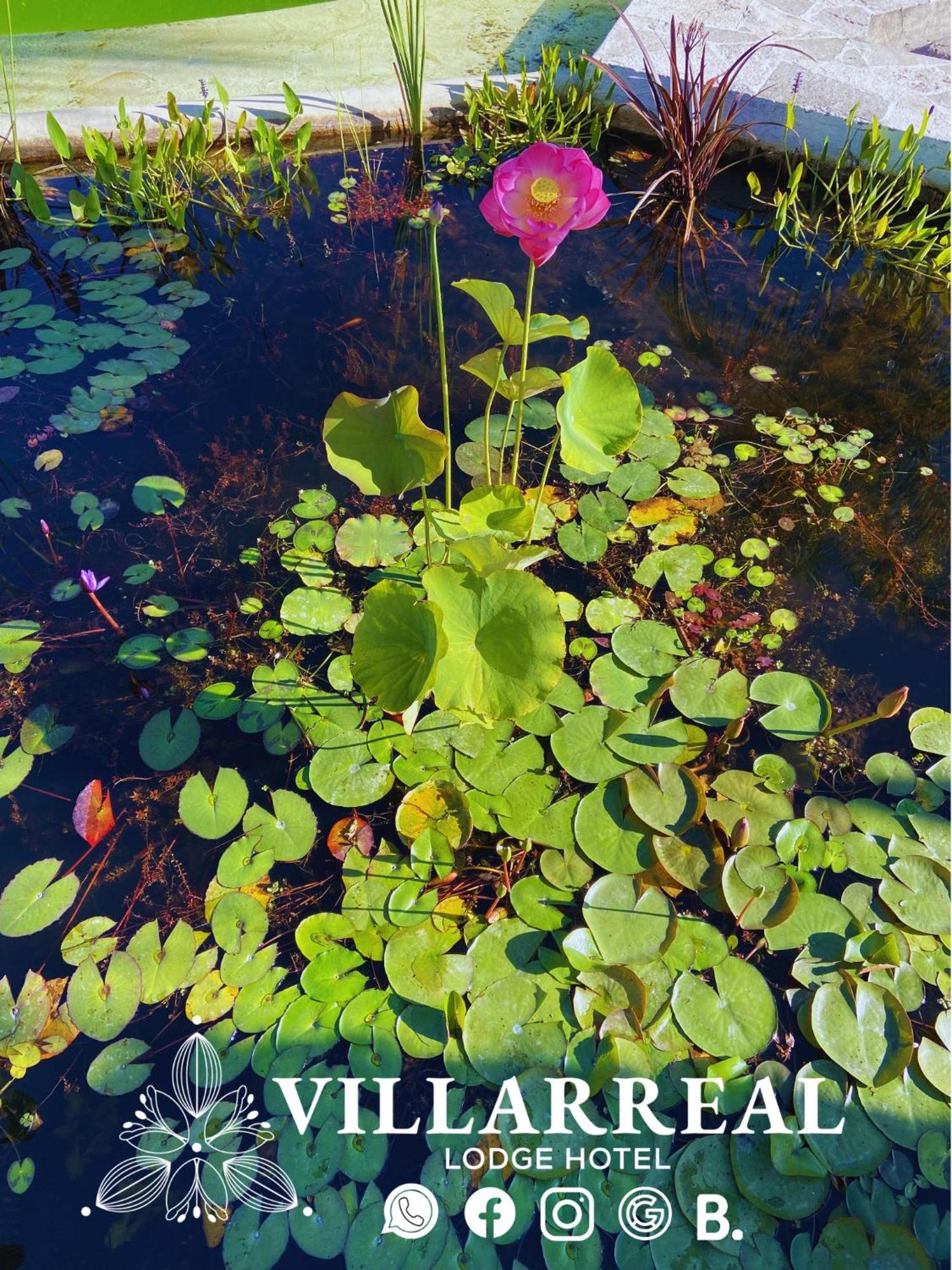 Villarreal Lodge Hotel Ecologico Totolapan Eksteriør bilde